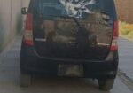 عاجل واگنر